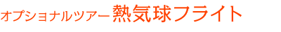 熱気球フライトツアー