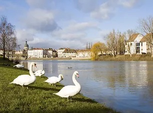 南仏プロバンスとリヨン：イメージ