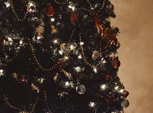 ドナウ川　クリスマスマーケット：イメージ