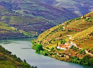 ドウロの隠れた秘宝：イメージ