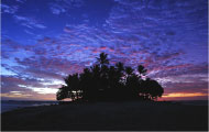 ジープ島の朝　イメージ