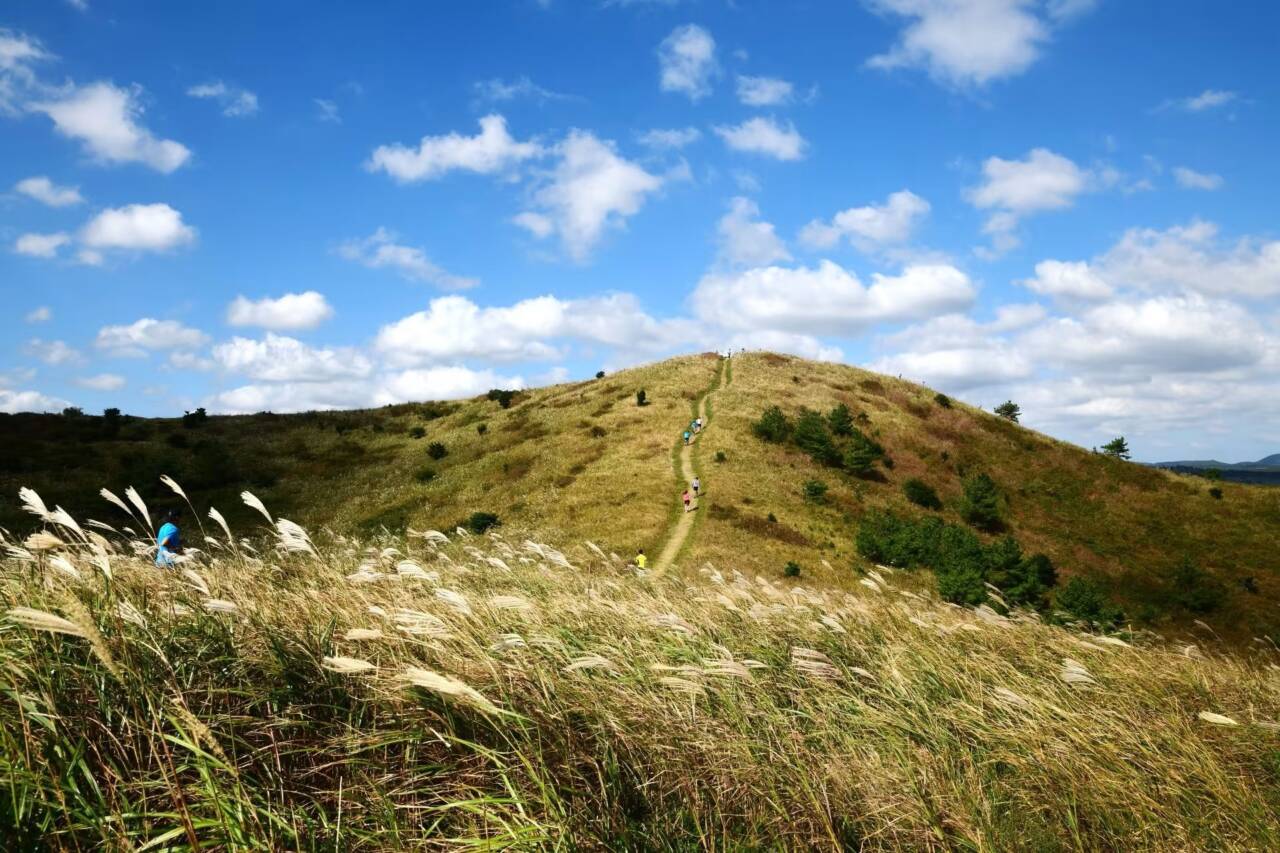 【済州島発着:10/11-14】トランス チェジュ BY UTMB 4日間：イメージ
