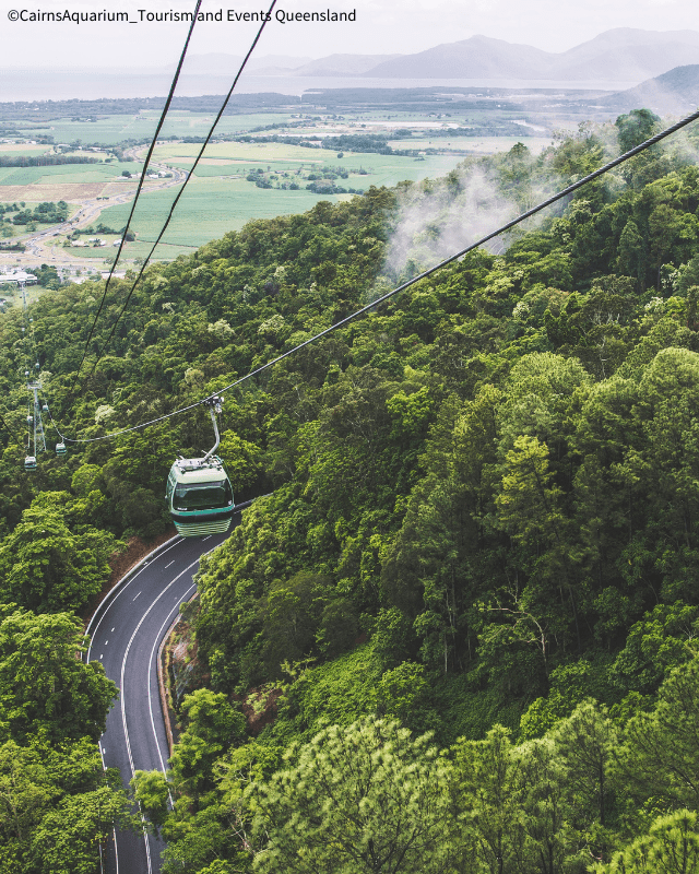 ジェトスター航空直行便で行くケアンズ！グリーン島＆キュランダ観光付：イメージ
