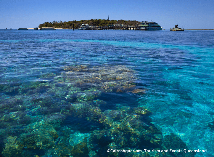 ジェトスター航空直行便で行くケアンズ！グリーン島＆キュランダ観光付：イメージ