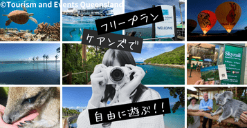 ■フリープラン■：イメージ