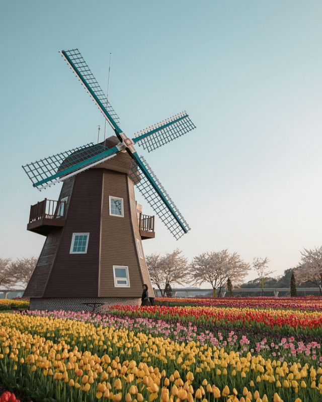 【WEB限定】ＫＬＭオランダ航空直行便で行く！アムステルダム・フリー7日：イメージ