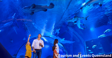 ケアンズ水族館