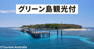 ■グリーン島観光付■：イメージ