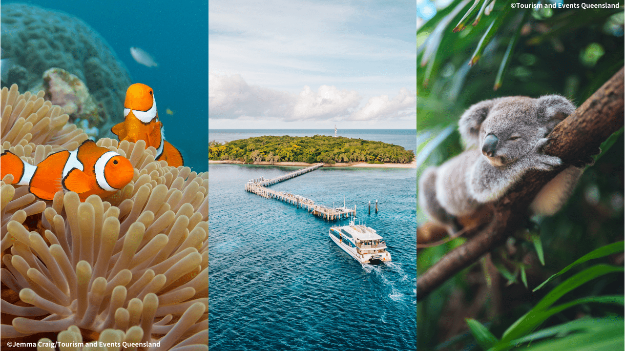 ケアンズ_キービジュアル